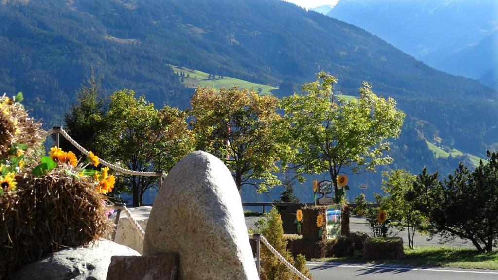 Aparthotel Hohe Bruecke Mittersill Dış mekan fotoğraf